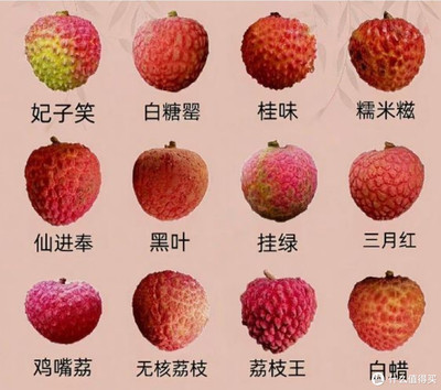荔枝的分類(lèi)與無(wú)核荔枝——你嘗過(guò)幾種？