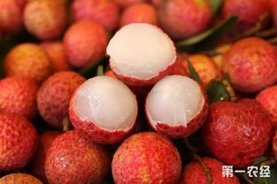 早熟無(wú)核荔枝搶占市場(chǎng)先機(jī)，海南特色水果再創(chuàng)佳績(jī)
